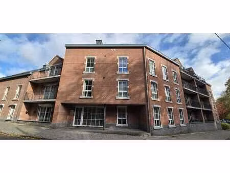 appartement rdc 2 chambres avec grande terrasse et parking