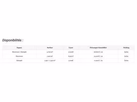 showroom + entrepôt (divisible)