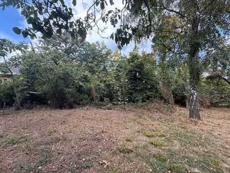 superbe terrain à bâtir 4 63ares et 28 15m de façade (marcin