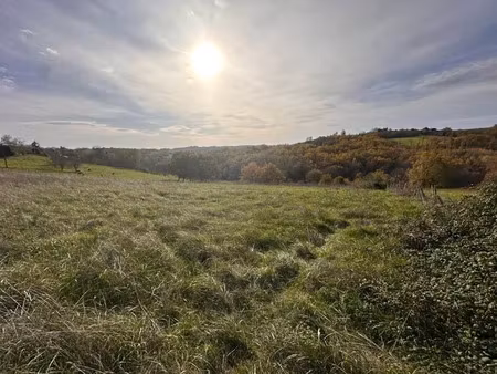 vente terrain à saint-aulaire (19130)  35 000 €