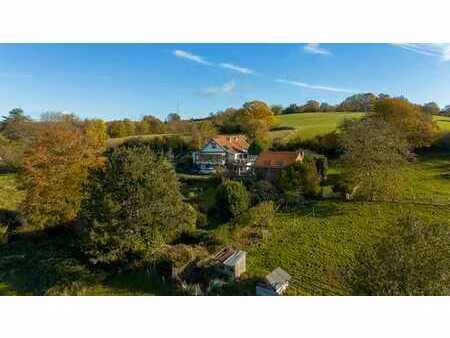 panorama verdoyant et tranquillité absolue