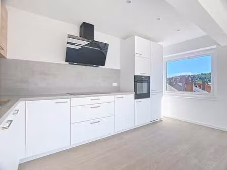 appartement 1 chambre rénové et lumineux