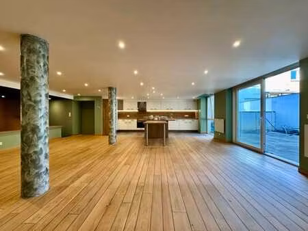 grand loft avec garage  terrasse et caves