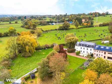 magnifique immeuble de caractère avec jardin et pâtures