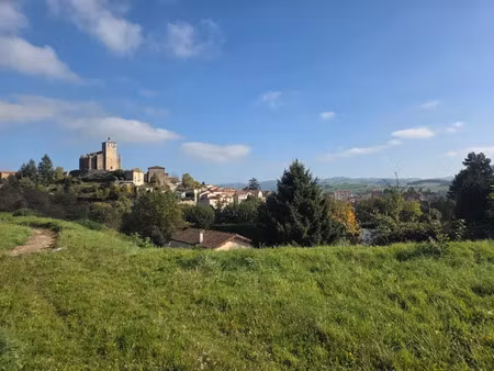 vente terrain 930 m² à saint-symphorien-sur-coise (69590)  99 900 €