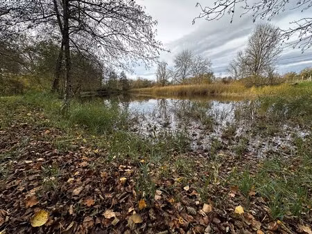terrain de loisir - avrille les ponceaux
