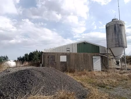 vente locaux professionnels 450 m² à mesplède (64370)  130 000 €