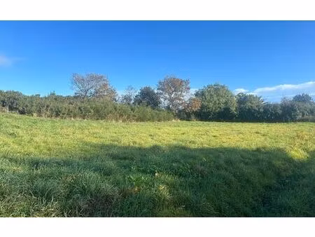 terrain pleumeur-bodou m² t- à vendre  214 350 €