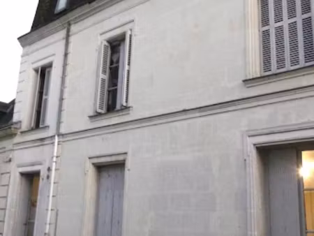 vente immeuble 246 m² à langeais (37130)  479 000 €