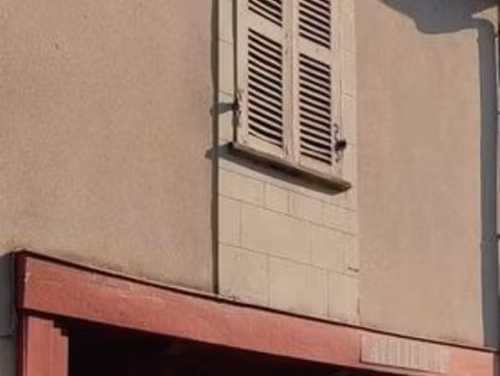 local commercial + appartement + jardin à la roche posay