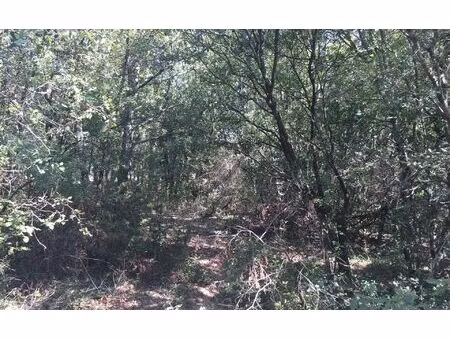 terrain labastide-de-virac m² t- à vendre  100 000 €