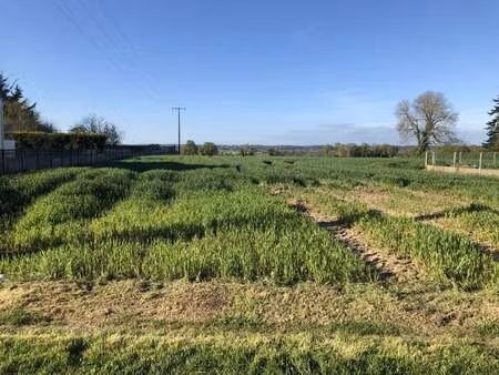 vente terrain à peillac (56220) : à vendre / 1000m² peillac