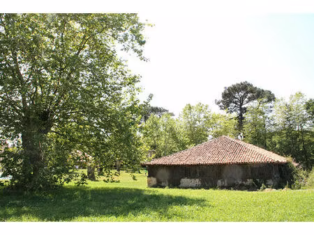 rare  pour les amoureux de la nature !