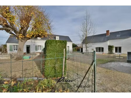 vente maison à saint-martin-de-la-place (49160) : à vendre / 250m² saint-martin-de-la-plac