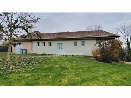 monsieur chafik essahli