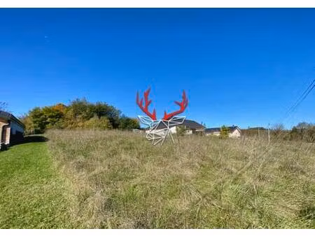 vente terrain 1020 m² plateau d'hauteville (01110)