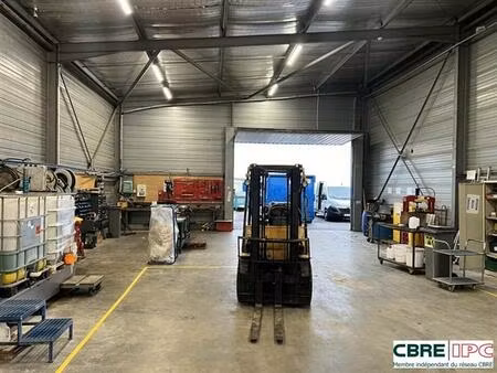 location local d'activités saint-martin-de-seignanx 950 m²