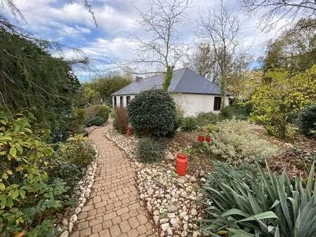 l’immaculée  maison de plain-pied avec grand jardin paysager