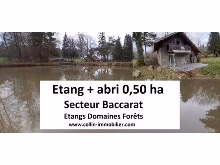 en vente terrain constructible 50 ares – 99 000 € |baccarat