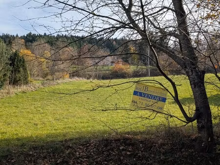 achat terrain st pierre eynac 43260