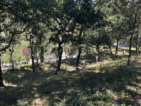 vente terrain 1684 m² montagnac-montpezat (04500)