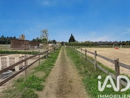 vente haras 5 pièces