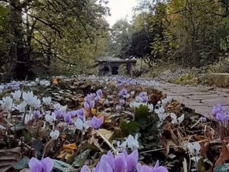 terrain de loisir (constructible)