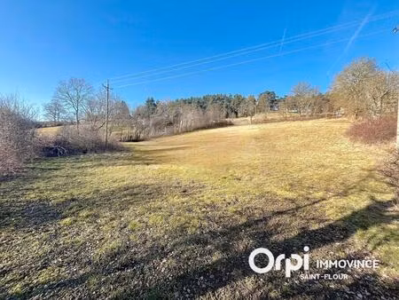 vente terrain 4496 m² saint-flour (15100)