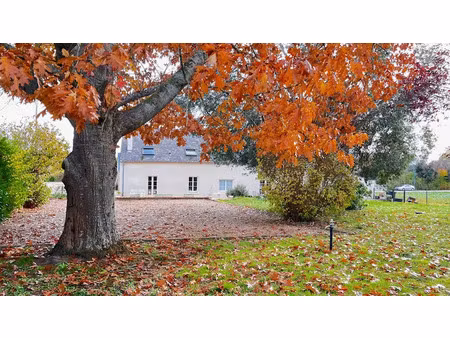 vente propriété 4 pièces 260 m² à diou (36260)  313 000 €