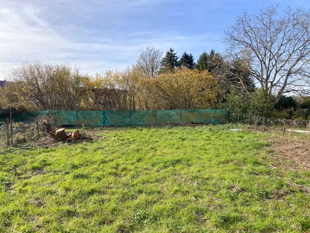achat terrain 242m² jeumont 59460