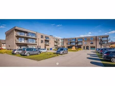 appartement te huur in rupelmonde