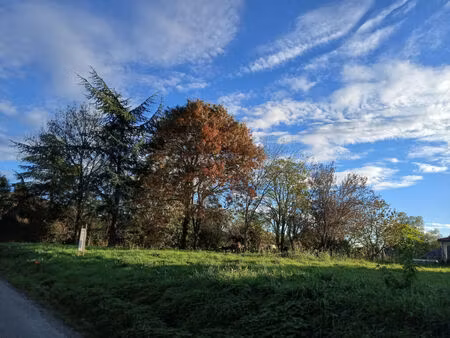 vente terrain 676 m² thil (31530)