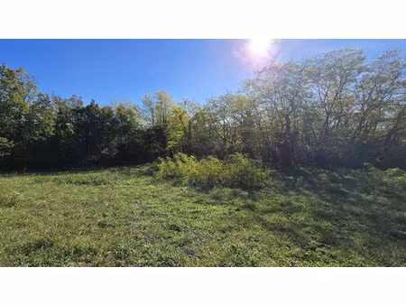 vente terrain 2685 m² calmont (31560)