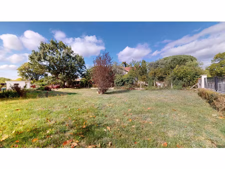 vente terrain 535 m² la salvetat-saint-gilles (31880)