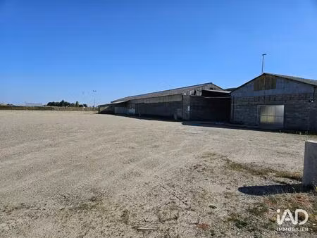 vente murs commerciaux 1 250 m²