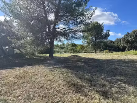 terrain