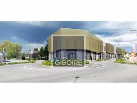 achat local commercial 667m² les ponts de ce 49130