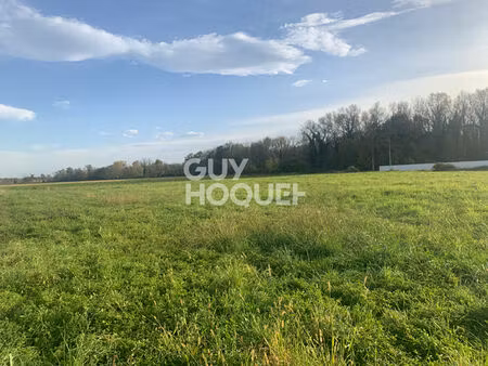 terrain plat viabilisé avec vue sur les pyrénées à labastide-cézéracq