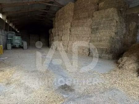 vente maison à méjannes-lès-alès (30340) : à vendre / 595m² méjannes-lès-alès