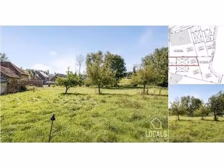 terrain à vendre à daal 37c haaltert (rbu70625)