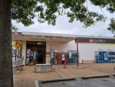 vente commerce 286 m² la chapelle-glain (44670)