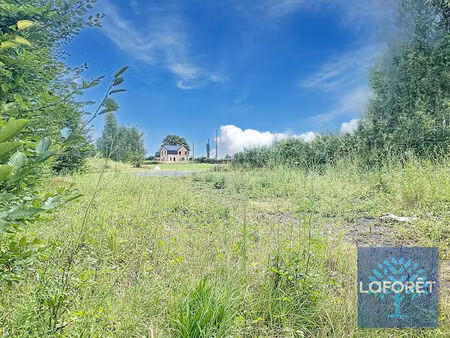 vente terrain 2089 m² locquignol (59530)