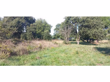 vente terrain 2200 m² argelès-sur-mer (66700)