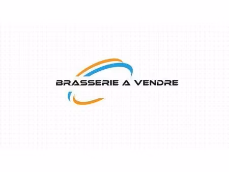 vente commerce 400 m² tassin-la-demi-lune (69160)
