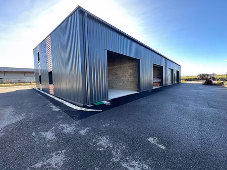 location commerce 176 m² à sauvagnon (64230)