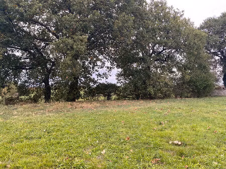 balma terrain à bâtir viabilisé de 1010m2 - construction libre