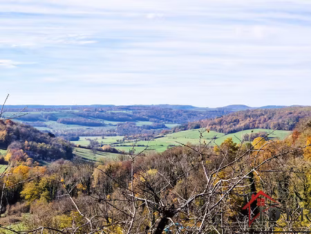 rare maison de village avec vue et potentiel à coiffy-le-