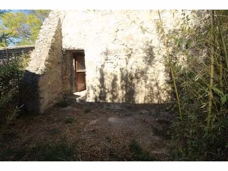 deux pépites  maison de village avec cour et sa dépendance habitable.