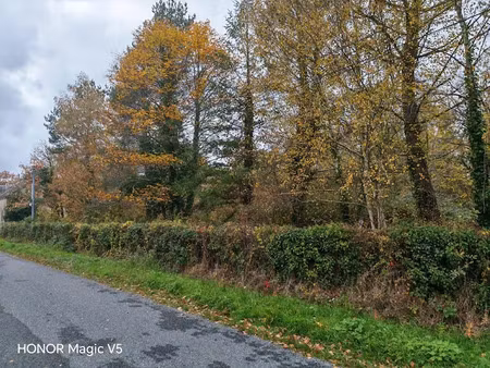 vente terrain 1602 m² à nançay (18330)  23 000 €