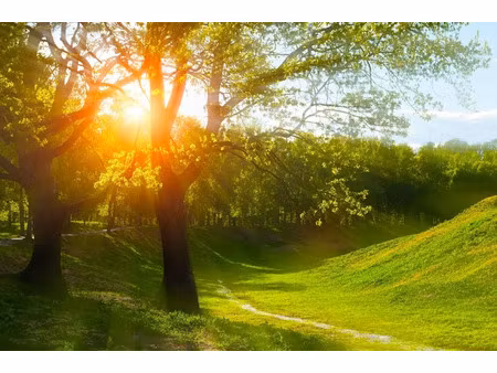 vente terrain 1327 m² à plaimpied-givaudins (18340)  39 500 €